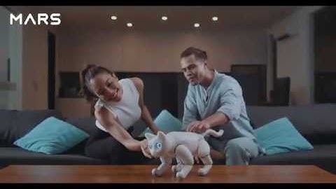 MarsCat / Bionic Cat home robot