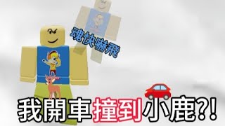 我開車撞到小鹿 而去他還爆炸 到底是什麼現象阿