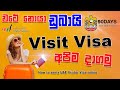 How to apply Dubai visit visa 2022 | Dubai Tourist Visa online | visit visa apply Sinhala | SL TO UK