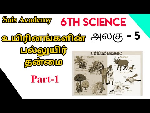 உயிரினங்களின் பல்லுயிர் தன்மை | Sais Academy