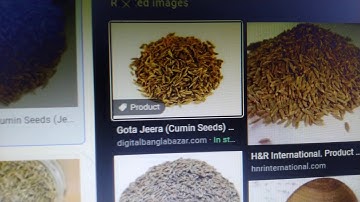 Class 5 Chapter 3 Creating Tables in Word 2013 Part 7 (Practical session)