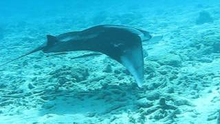 MVI_3221.AVI
