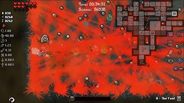 [Full stream] - Randy Binding of Isaac: Afterbirth+ [Part 37]