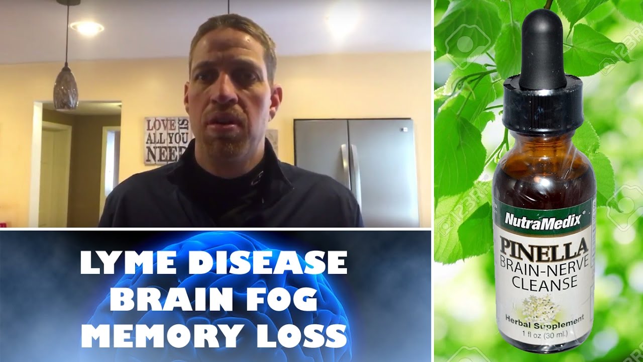 Lyme disease natural remedies Pinella brain fog YouTube
