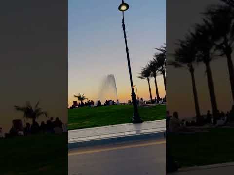 Jeddah water fountain evening view #musafir #viral #shorts #dubai #360 #imrankhan #sunset