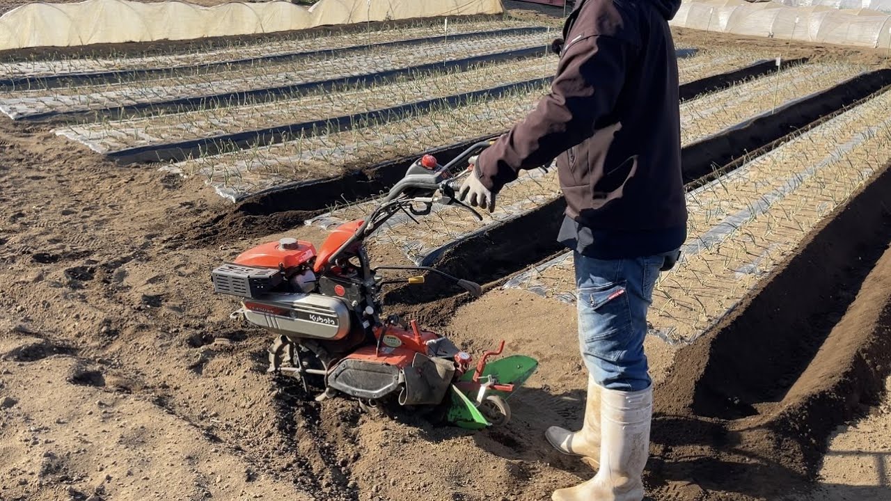 農業用セット One shot weeding with a small cultivator] Two benefits of hilling