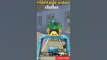 1 v 4 cluthes shorts