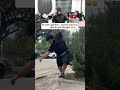 Almost Had It 