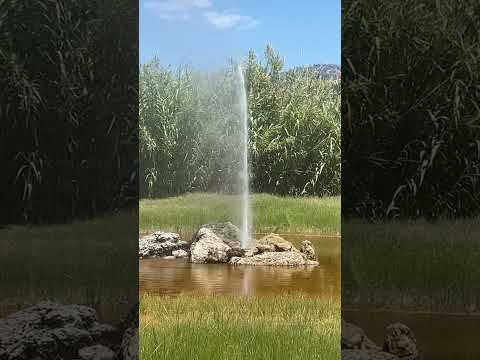 Old Faithful Geyser
