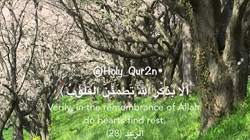 سورة الرعد _ ايه 28 - AR-RA'D (THE THUNDER)