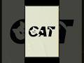 Cat logo design adobe illustration #adobeillustrator #design #vectorillustration #shorts #trending