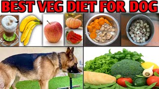 Best Home Made Veg Diet for Dogs | Healthy Dog Food recipe