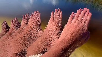 Creative masterpieces with ARKit 3 body tracking
