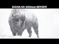 Adapting Wildlife Lenses to Sony Cameras: Sigma 60-600mm f/4.5-6.3 DG OS HSM Sports Lens Review