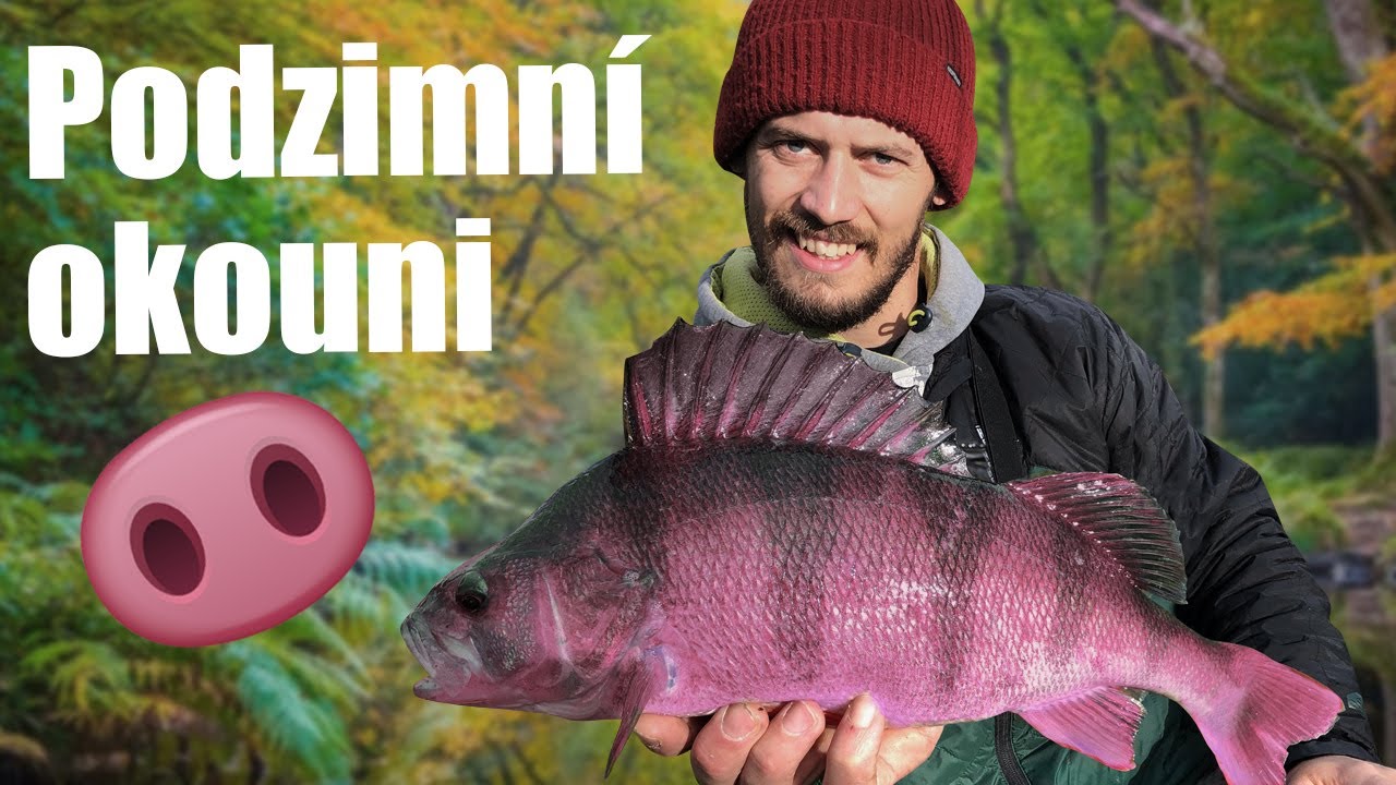 Podzimní okouni a nový osobáček | Autumn perch & new PB