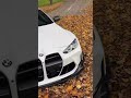 BMW M4 G82 – Low Beast on Autumn Roads 🥶🍁