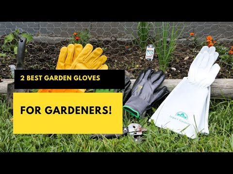 2 Best Garden