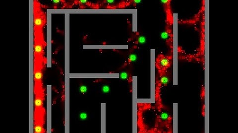 Simulating Slime Mold Behavior in Unity