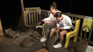 Bree And Her Mom Feeding The Baby Raccoons