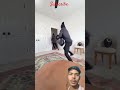 WORLD'S FASTEST ROBBERY #viral #tending #luck #viralvideo #mrbeast #robbery #fastest #shorts