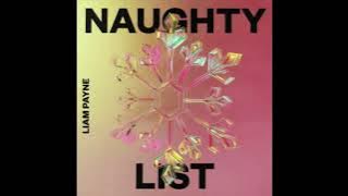 Liam Payne - Naughty List (Solo Version)