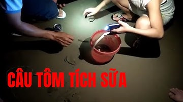 CÂU TÔM TÍCH SỮA CỰC HAY VÀO BAN ĐÊM Ở VŨNG TÀU | HA NGUYEN TV