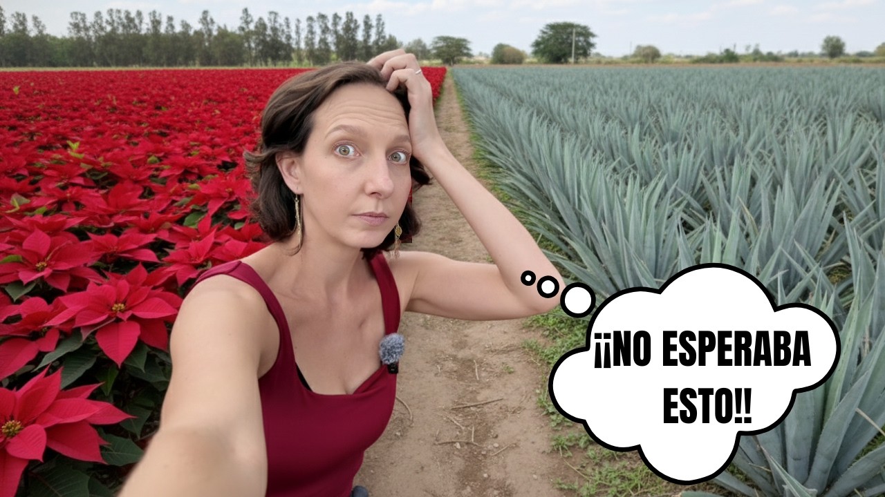 La REALIDAD del INGENIO MEXICANO🇲🇽 Zumpahuacán EL INCREÍBLE LUGAR DE EDOMEX QUE NO CONOCÍAS