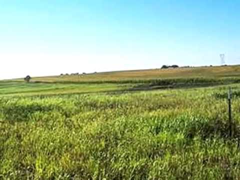 17115 Deodor St, Lowell, IN home video tour