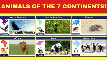 Animals of the 7 Continents | Animals of the World | Educational Video for Kids | Animals for Kids