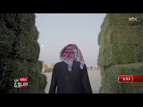 مرعي الدايس تاجر أعلاف بأرباح قليلة وأحلام وطموحات كبيرة منصور المزهم معه القصة الكاملة