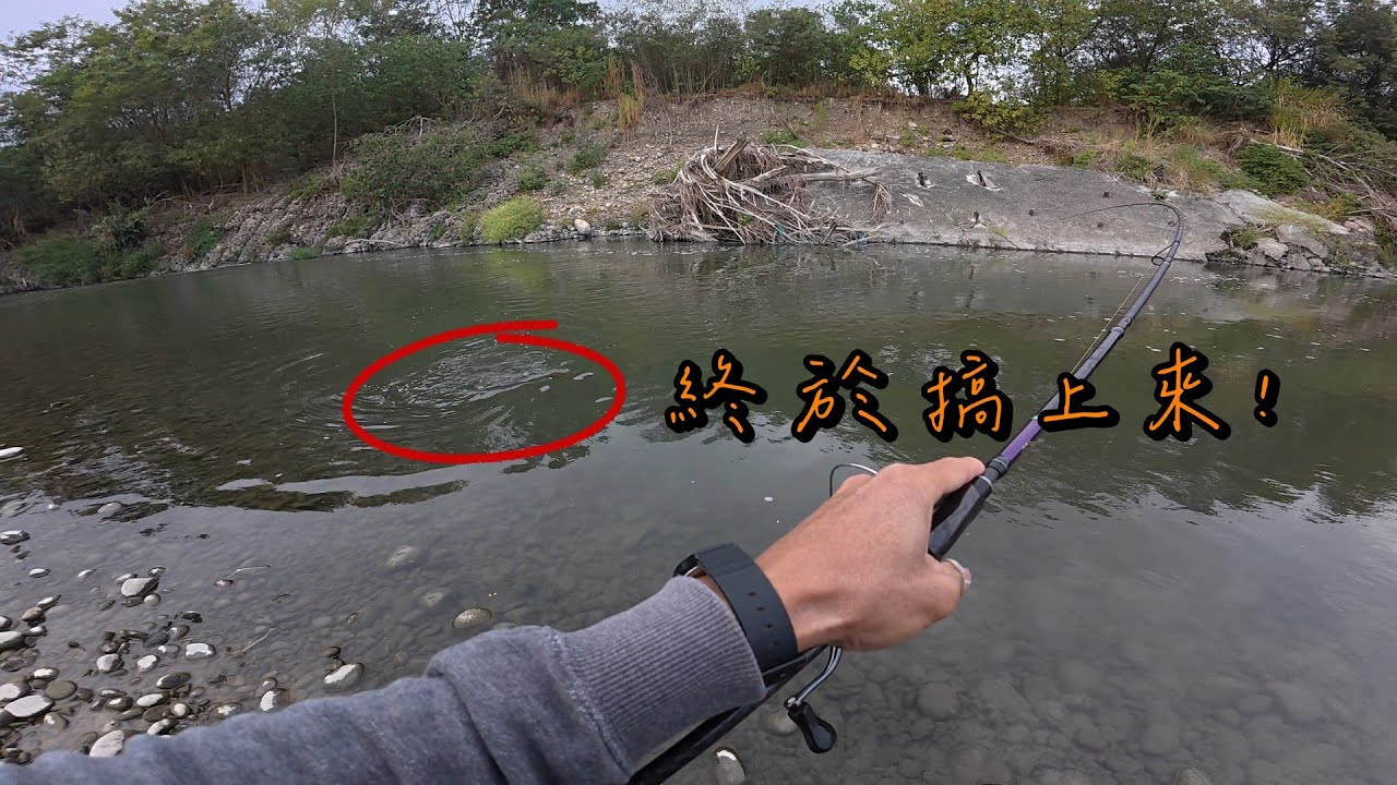 貓羅溪溪尾鐵橋釣遊,這裡魚好多!