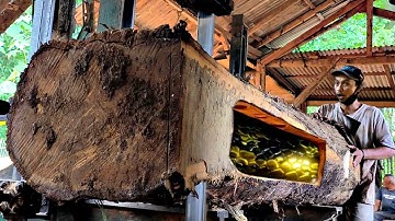 Shocking discovery of rotten teak wood full of architectural art at sawmill