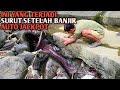 Dikira ular sanca ternyata ikan sebesar ini di celah batu