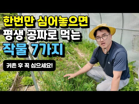 유튜브 미리보기