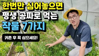 한번만 심어놓으면 평생 공짜로 먹는 작물 7가지ㅣ딱 한번 심고 평생 먹는 작물 7가지 추천ㅣ재배가 쉬운 작물 #고소득작물#봄나물#텃밭#시골#귀농귀촌#전원주택#전원생활#시골부부