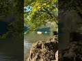 You will not regret to go there🇮🇹 🤩#beautifulnature#bollywoodsongs #hindisong#song#lake #lakeview