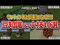 まいくら うどん サバイバルでヤクニタツ装置 Mp3 まいくら うどん サバイバルでヤクニタツ装置 Mp3