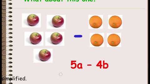 3.1 Simplifying Expressions b