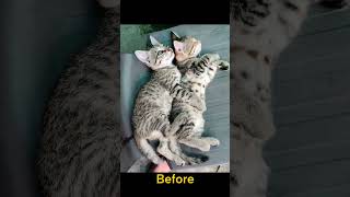 This 1 Mobile Editing Secret Changes Everything 🤫 #shorts
