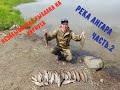 Незабываемая рыбалка на хариуса. ч.2. Река Ангаре Красноярский край.