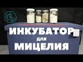 Инкубатор для Мицелия