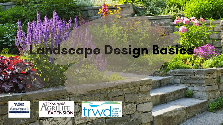 Landscape Design Basics w Loretta Bailey