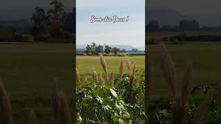 MENSAGEM DE FÉ #videoshort #videoviral #paz #reflexão