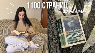 Как Прочитать Огромную Книгу За 6 Дней 🤯 | Книжный Марафон 📚