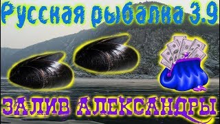 Русская рыбалка 3.9. Залив Александры. Мидия!