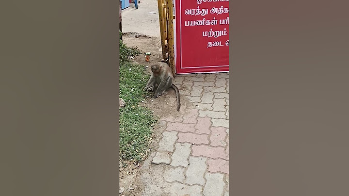 பசி வந்தால் வாயை கட்டுப்படுத்த முடியல 🤪#shorts #reels #video #funny