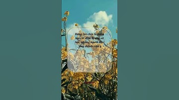 Bông lúa chín là bông lúa cúi đầu