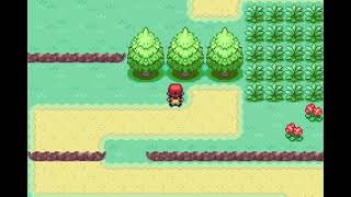 How To Catch Rattata