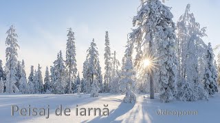 Peisaj De Iarnă, Videopoem, Gheorghe Mizgan