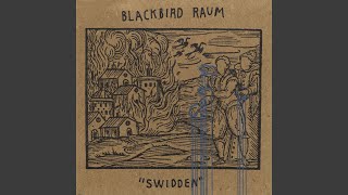 Video thumbnail of "Blackbird Raum - Shot Coplifting"